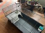 Prachtig keurig net konijnenhok/kuikenoopfokrennetje, Dieren en Toebehoren, 110 cm of meer, Ophalen of Verzenden, Zo goed als nieuw