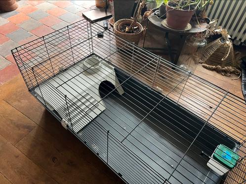 Prachtig keurig net konijnenhok/kuikenoopfokrennetje, Dieren en Toebehoren, Knaagdieren en Konijnen | Hokken en Kooien, Zo goed als nieuw