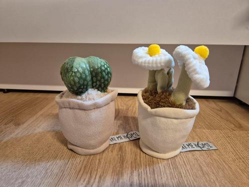 2 x Take me home planten knuffeltjes bloem cactus, Kinderen en Baby's, Speelgoed | Knuffels en Pluche, Ophalen of Verzenden