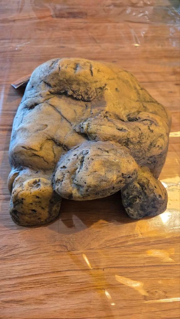 EXO Terra reptiel grot XL (reptile cave x-large), Dieren en Toebehoren, Reptielen en Amfibieën | Toebehoren, Nieuw, Ophalen of Verzenden