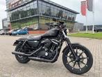 Harley-Davidson XL883N IRON SPORTSTER 883 (bj 2016), Motoren, Motoren | Harley-Davidson, Bedrijf, Overig