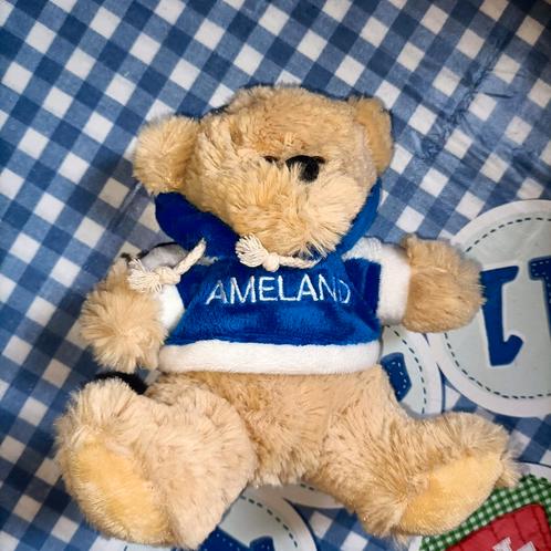 Ameland beer knuffel met blauwe hoodie 19 cm, Kinderen en Baby's, Speelgoed | Knuffels en Pluche, Beer, Ophalen of Verzenden