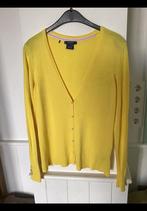 Geel vestje mt 38, parel knoopje. Lange mouw Manguun viscose, Kleding | Dames, Ophalen of Verzenden, Zo goed als nieuw, Maat 38/40 (M)