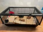 Hamsterkooi met toebehoren en voer, Dieren en Toebehoren, Knaagdieren en Konijnen | Hokken en Kooien, Kooi, Minder dan 75 cm, Zo goed als nieuw
