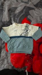 Always Happy Bunny Wintershirt Maat 80, Kinderen en Baby's, Babykleding | Maat 80, Jongetje of Meisje, Ophalen of Verzenden, Zo goed als nieuw