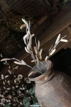 Kunsttak met vrucht naturel, Nieuw, Ophalen of Verzenden, Info@jufbrocante.nl, Info@jufbrocante.nl