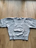 Iro Paris grijze trui maat L, Kleding | Dames, Ophalen, Maat 42/44 (L), Grijs, Iro