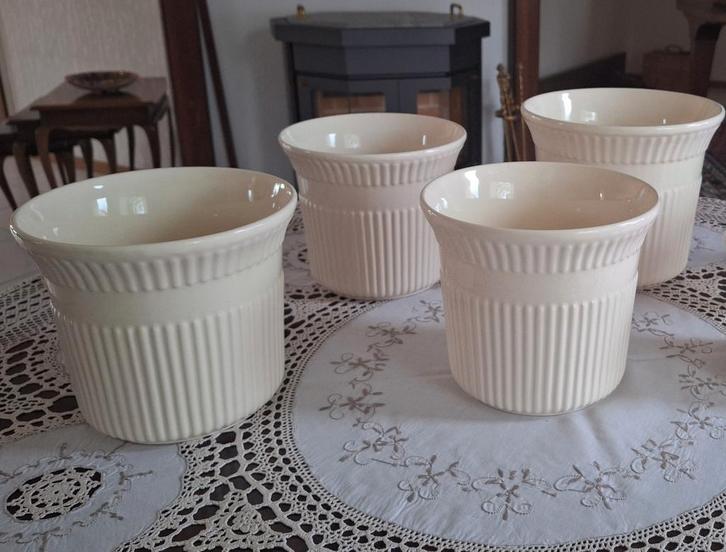 Bloempotten, Huis en Inrichting, Kamerplanten, Minder dan 100 cm, Halfschaduw, Ophalen of Verzenden