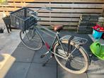 Batavus fiets 55 inch, Fietsen en Brommers, Fietsen | Dames | Omafietsen, 53 tot 56 cm, Ophalen, Zo goed als nieuw