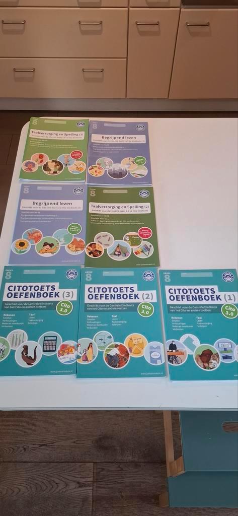 Junior Einstein Groep 8 Cito Oefenboeken, Boeken, Studieboeken en Cursussen, Zo goed als nieuw, Niet van toepassing, Ophalen of Verzenden