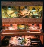 OSB Terrarium 200-50-50, Dieren en Toebehoren, Reptielen en Amfibieën | Toebehoren, Ophalen