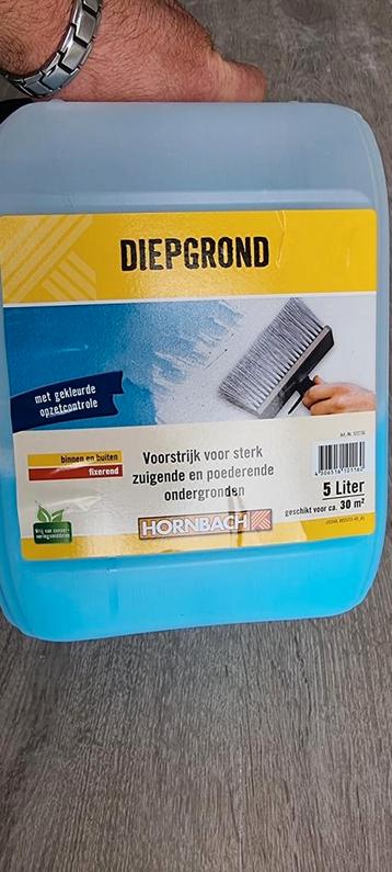 Te koop: DIEPGROND van HORNBACH - meer dan 60% over!
 beschikbaar voor biedingen