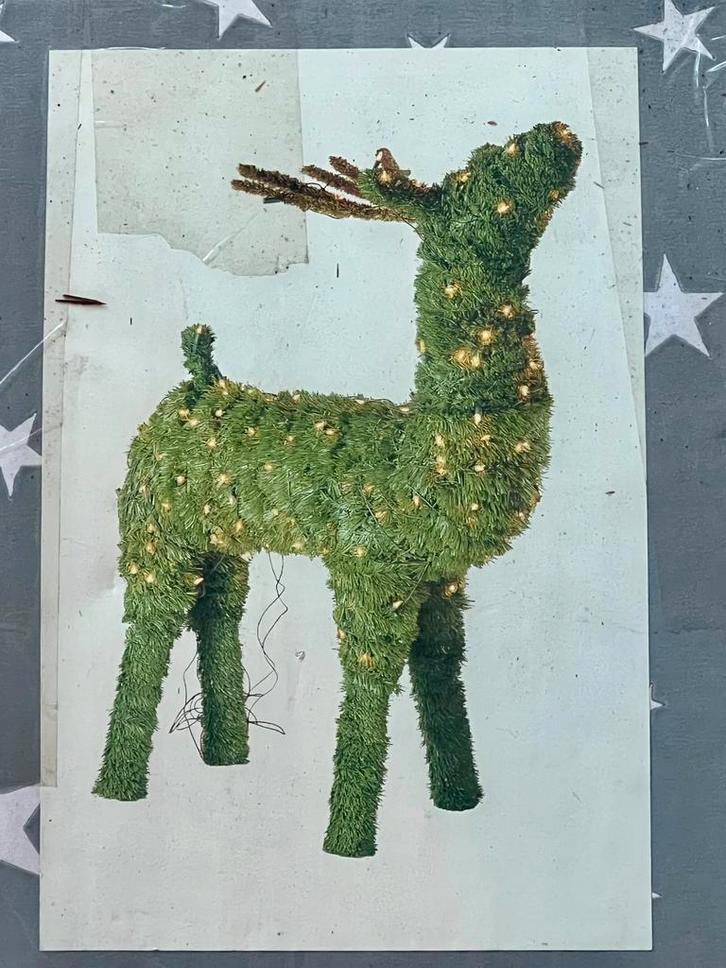 Rendier, Antiek en Kunst, Kunst | Overige Kunst, Ophalen