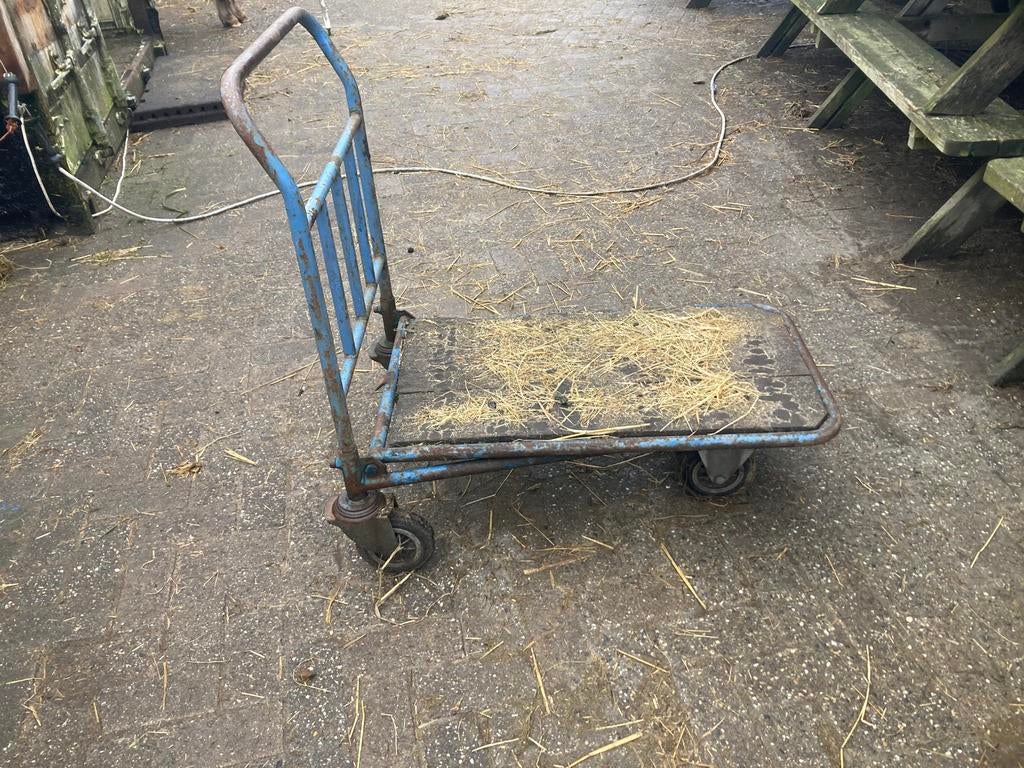 Transportkar, Doe-het-zelf en Verbouw, Transportwagens, 100 liter of meer, Ophalen, Zo goed als nieuw, Transportkar