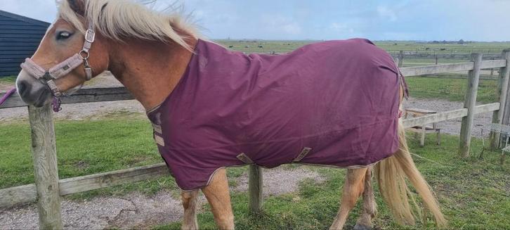 Horseware deken 6.0 en 2x liners 6.0, Dieren en Toebehoren, Paarden en Pony's | Dekens en Dekjes, Ophalen