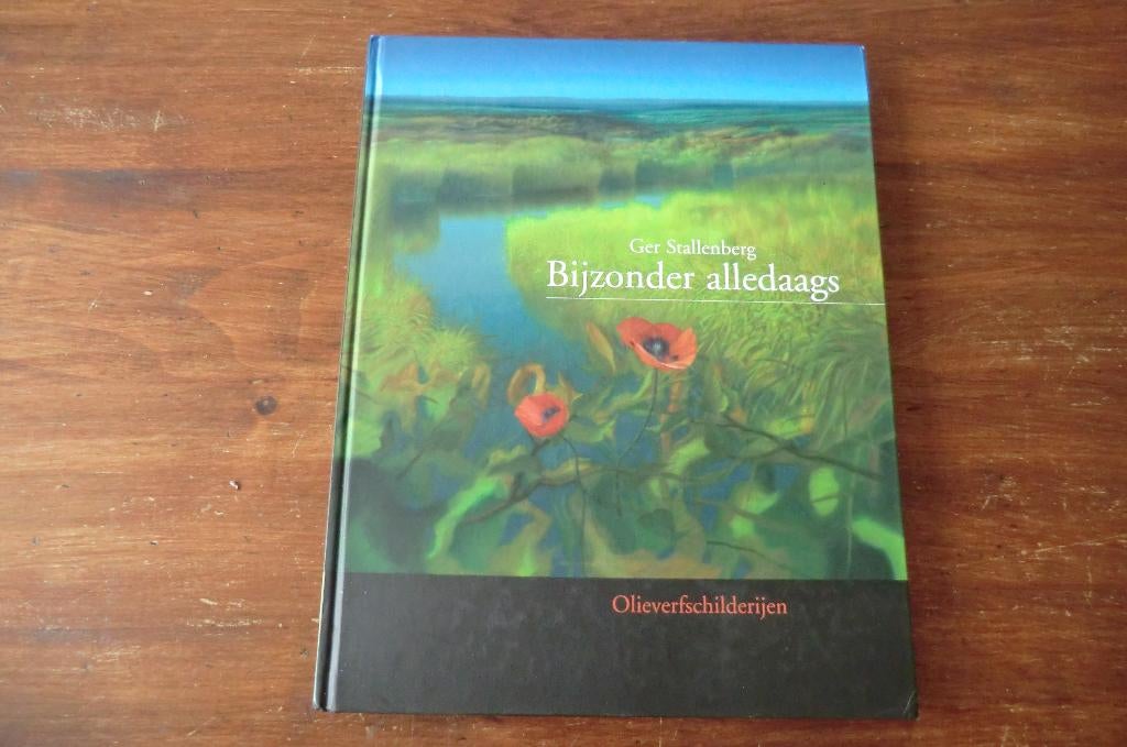 schildersboek - Ger Stallenberg - Bijzonder alledaags, Boeken, Kunst en Cultuur | Beeldend, Zo goed als nieuw, Schilder- en Tekenkunst