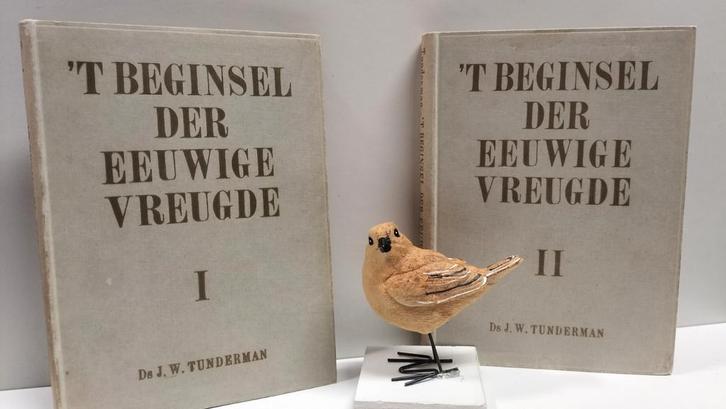 Tunderman, Ds J.W.; 't Beginsel  der eeuwige vreugde dl 1&2, Boeken, Godsdienst en Theologie, Gelezen, Christendom | Protestants