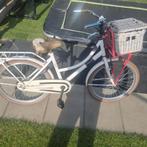 Transportfiets alpina cargo 22 inch met rieten mand, Fietsen en Brommers, Fietsen | Meisjes, Ophalen, 22 inch, Gebruikt, Handrem