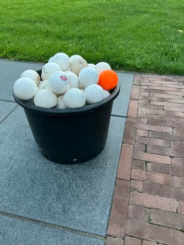 Hockeyballen te koop €1,50 per stuk beschikbaar voor biedingen