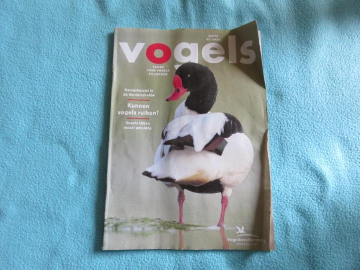 1 EURO OF GRATIS Tijdschrift Vogels Lente 02-2025, Boeken, Tijdschriften en Kranten, Zo goed als nieuw, Wetenschap en Natuur, Ophalen of Verzenden