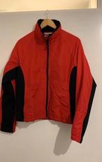 Tommy Hilfiger Winterjas, Maat 38/40 (M), Ophalen of Verzenden, Zo goed als nieuw, Rood