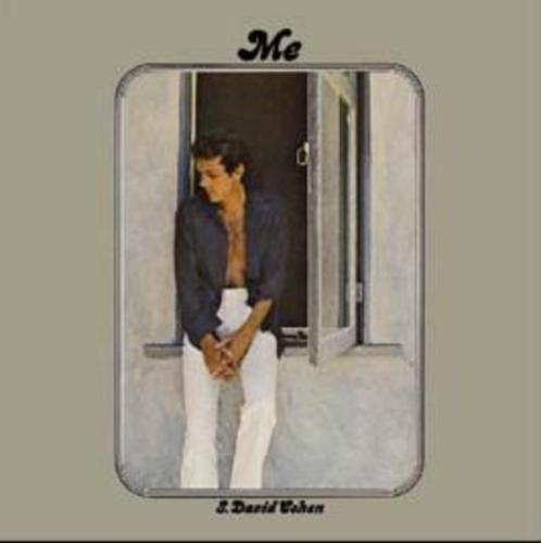 LP David Blue - Me S. David Cohen (PROMO label), Cd's en Dvd's, Vinyl | Rock, Singer-songwriter, 12 inch, Ophalen