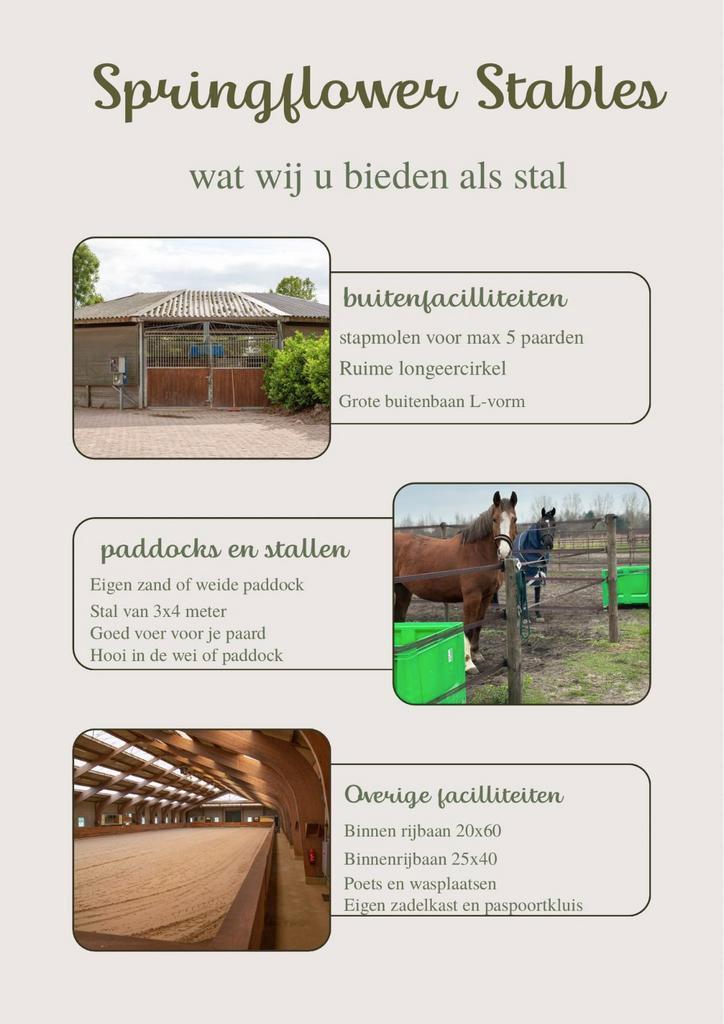 Pensionstalling aangeboden nabij Tilburg, Dieren en Toebehoren, Stalling en Weidegang