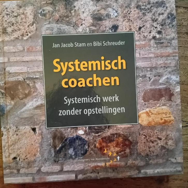Systemisch coachen, Boeken, Psychologie, Zo goed als nieuw, Sociale psychologie, Ophalen of Verzenden