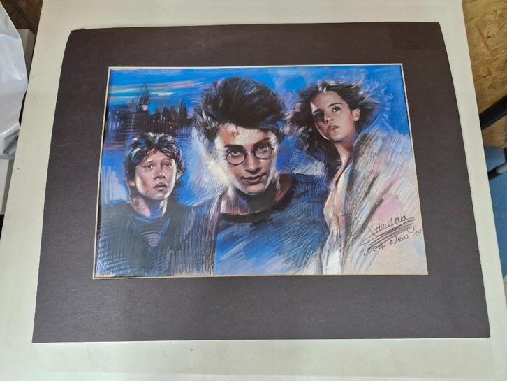 Unieke Harry Potter tekening – gesigneerd Haiyan / 40x50, Verzamelen, Harry Potter, Zo goed als nieuw, Overige typen, Ophalen of Verzenden