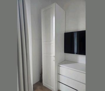 IKEA PAX Tyssedal Deur 50x229cm beschikbaar voor biedingen