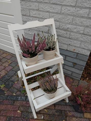 plantenrekje beschikbaar voor biedingen