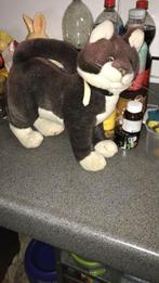 info over Francien,s katten knuffels, Kinderen en Baby's, Speelgoed | Knuffels en Pluche, Verzenden, Gebruikt, Poes