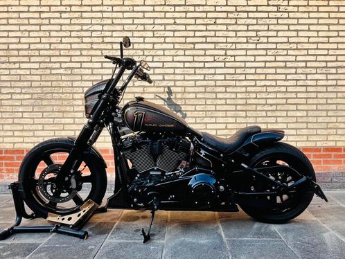 Harley Davidson Street Bob 114 FXBBS Custom Softail Eagle, Motoren, Motoren | Harley-Davidson, Bedrijf, Chopper, meer dan 35 kW