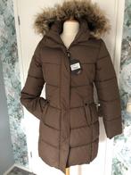 Gave Nieuwe halflange bruin gewatt. winterjas Icepeak mt 40, Maat 38/40 (M), Icepeak, Bruin, Nieuw