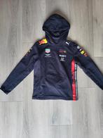 Red Bull trui maat 152, Gebruikt, Ophalen of Verzenden, Formule 1