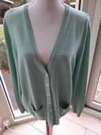 Supermooi warm vest PETER HAHN - 46/48, Kleding | Dames, Truien en Vesten, Maat 46/48 (XL) of groter, Ophalen of Verzenden, Zo goed als nieuw