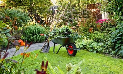 Hovenier/Tuin onderhoud omgeving Harderwijk, Diensten en Vakmensen, Tuinmannen en Stratenmakers, Bestrating, Tuinonderhoud of Snoeiwerk