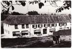 Epen (L) Hotel Weltevreden / houbenstraat 12 -ca 1960., Verzenden, 1960 tot 1980, Gelopen, Limburg