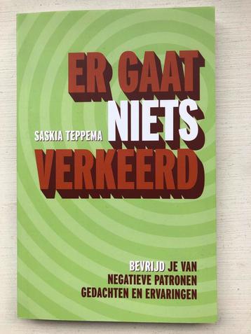 Er Gaat Niets Verkeerd - Saskia Teppema beschikbaar voor biedingen