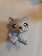 Littlest Pet Shop Wolf Grijsblauw, Ophalen of Verzenden, Gebruikt, Jongen of Meisje