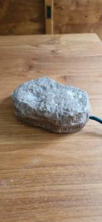 Warmtesteen voor reptielen, 0 tot 2 jaar