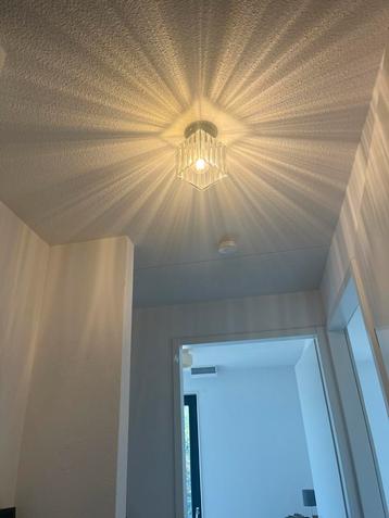 Glazen Plafondlamp met Zwarte Details beschikbaar voor biedingen