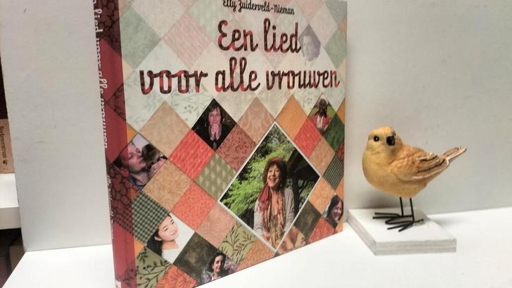 Zuiderveld-Nieman, Elly ; Een lied voor alle vrouwen, Boeken, Godsdienst en Theologie, Gelezen, Christendom | Protestants, Ophalen of Verzenden
