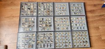 Dubbele verzameling Edelstenen en Mineralen beschikbaar voor biedingen