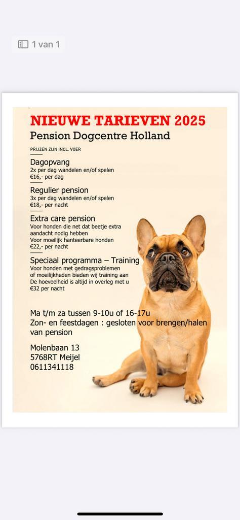 Hondenpension: Alle rassen welkom!, Diensten en Vakmensen, Dieren | Honden | Verzorging, Oppas en Les
