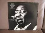 Muddy Waters – Muddy "Mississippi" Waters Live, 1960 tot 1980, Ophalen of Verzenden, Zo goed als nieuw, 12 inch