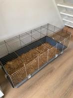 Konijn/cavia/hamster,kuiken hok, Dieren en Toebehoren, Ophalen, Gebruikt, Hamster, 90 cm of meer