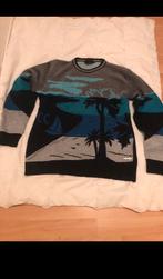 Carlo colucci trui, Kleding | Heren, Ophalen of Verzenden, Zo goed als nieuw