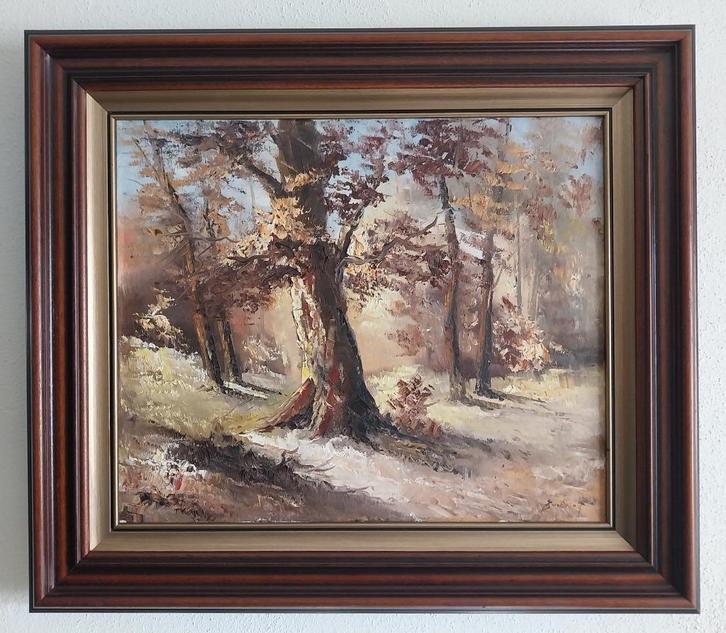 W. Enneking (1933) - Het Bos - 1970, Antiek en Kunst, Kunst | Schilderijen | Klassiek, Ophalen