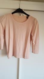 korte roze top maat S / 36, Ophalen of Verzenden, Gedragen, Maat 36 (S), Roze